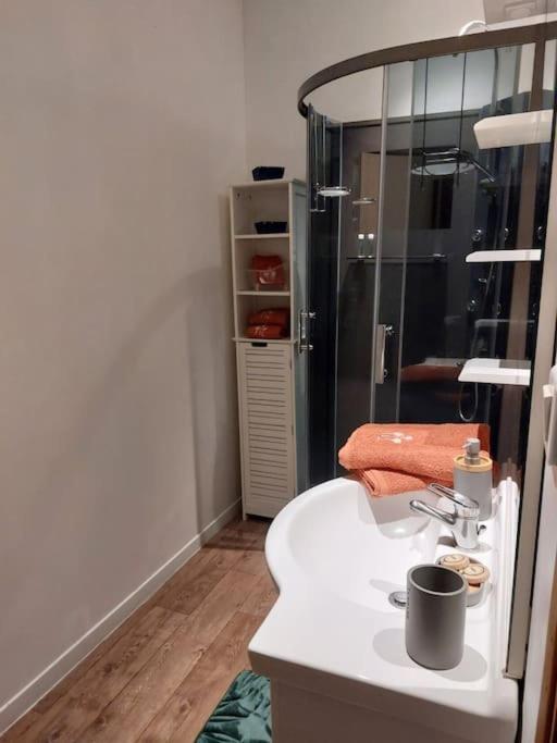 Appartement Proche Des Parcs Виши Экстерьер фото